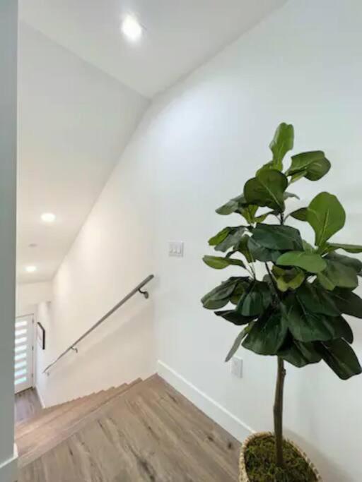 4Br Townhouse In Koreatown ลอสแอนเจลิส ภายนอก รูปภาพ